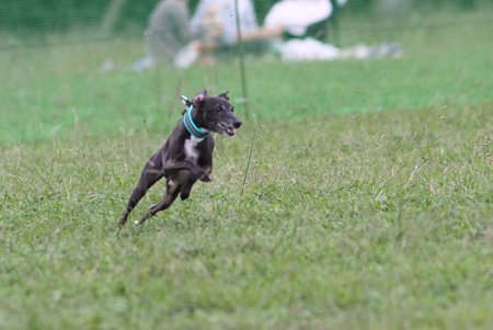 IMG_6894