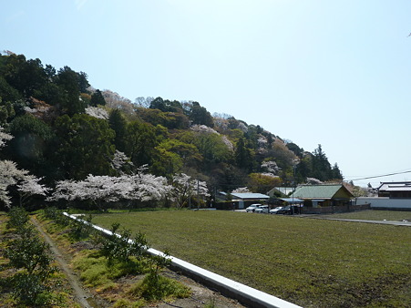 根来寺2011 024