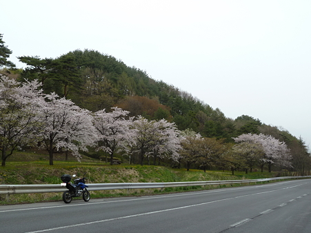 2011甲信 064加工