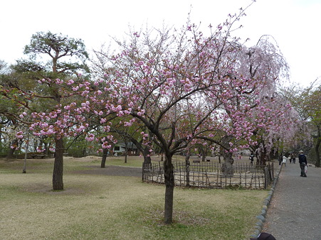 2011甲信 091