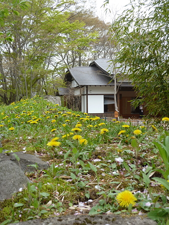 2011甲信 101