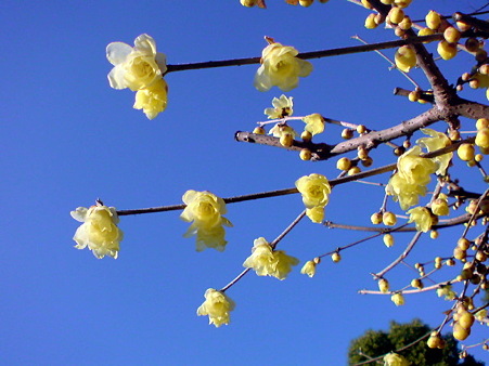 042