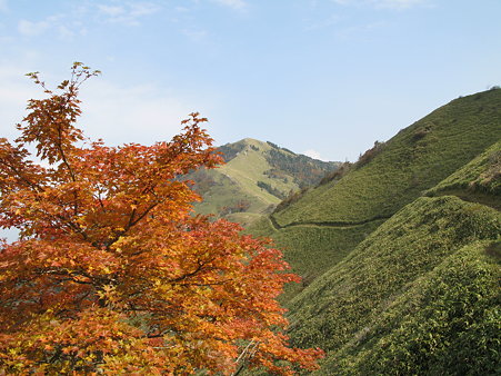 トラバース道から剣山