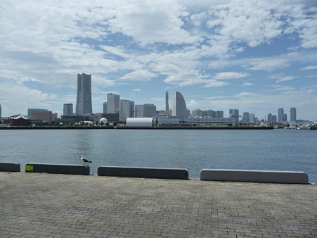 090725-大桟橋 (12)