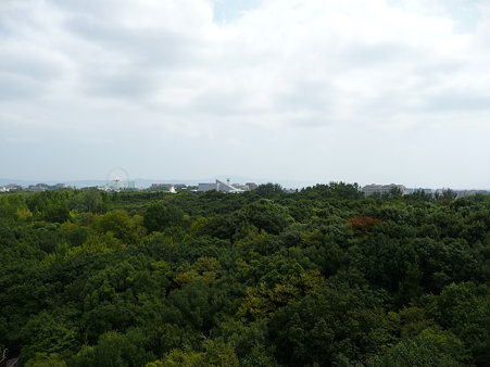 090830-ソラード (43)