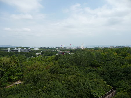 090830-ソラード (45)