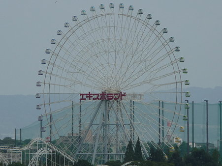 090830-ソラード (46)