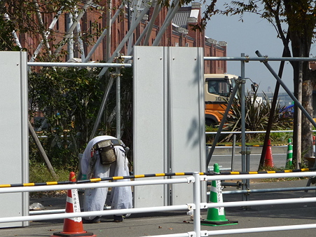 091019-Y150 はじまりの森 跡 (2)