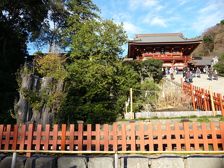 101210-八幡さま (8)