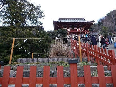 110115-八幡さま境内 (6)