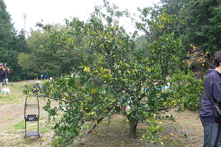 P1040236
