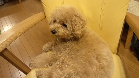 ちゃこ