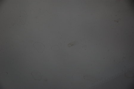取れない水垢が(ToT)