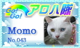 aloha-043