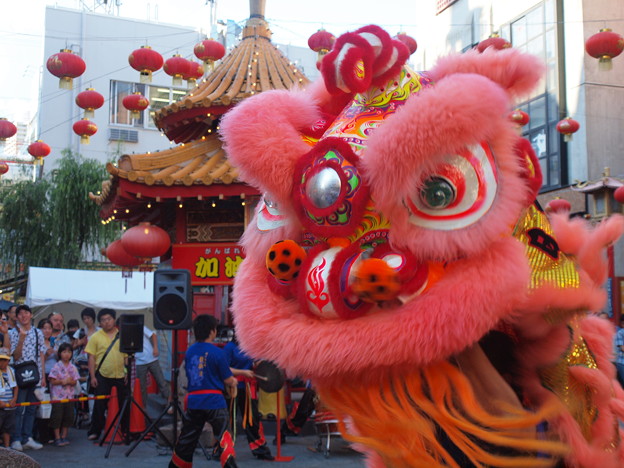 中国獅子舞２ Trang Chia Sẻ ảnh Photozou