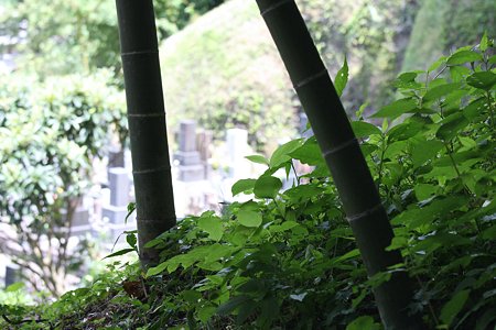 2009.08.09　鎌倉　円覚寺　お施餓鬼