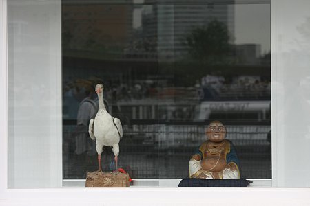 2009.07.20　みなとみらい　日本丸・海王丸帆作業開始-2