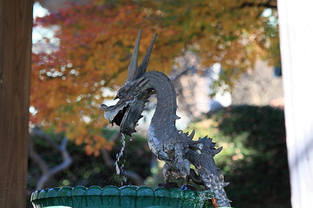 2010.11.29 藤沢 遊行寺 手水場の龍