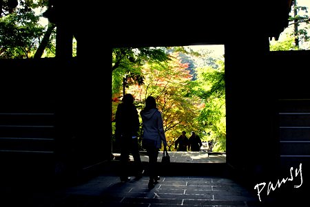 霜月の円覚寺・・6