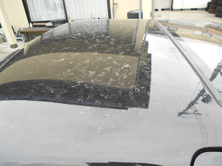 DSCN0909