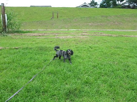 楽しそうに♪