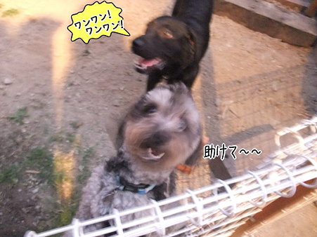 HELP ME!
