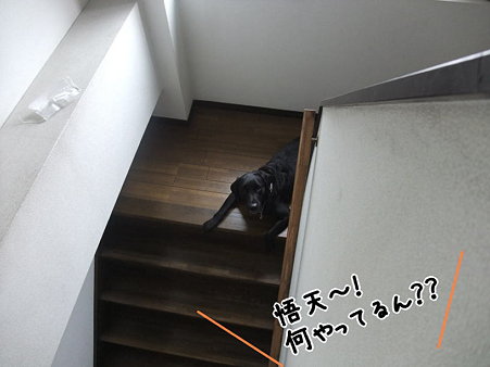 なにやってる??