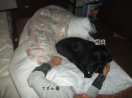 いつのまにか入れ替わり