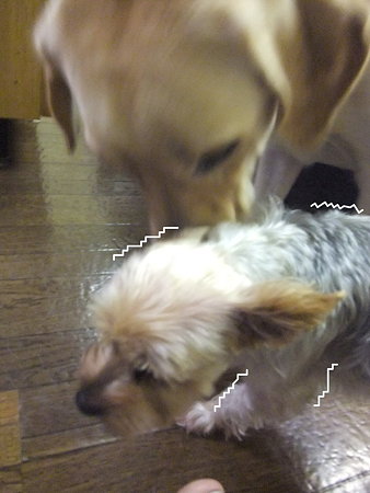 ビクビク