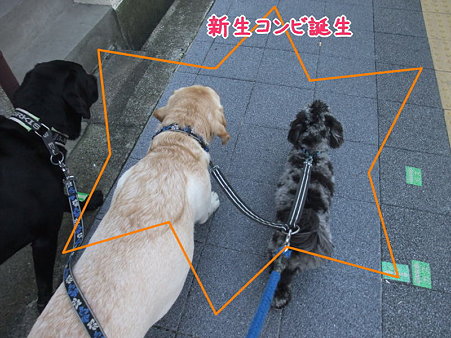 新生コンビ!
