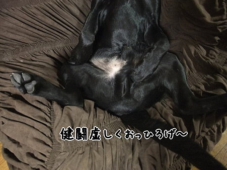 おっぴろげ~