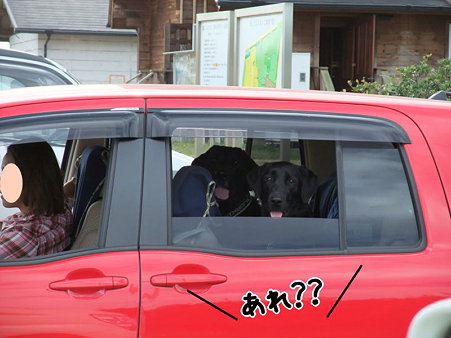 あれ??