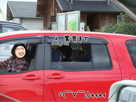 ちゃっかり