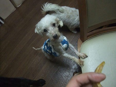 おおーーすごい食いつきようや~!