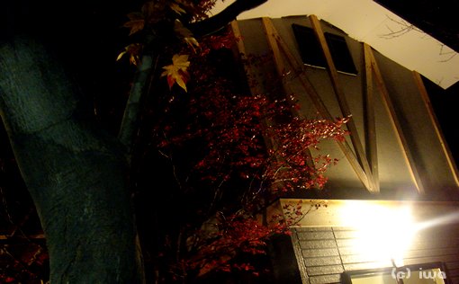 08685.jpg