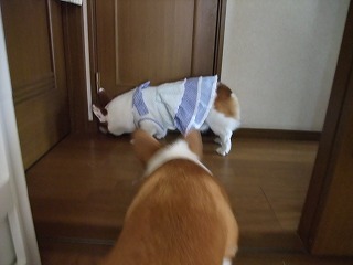 2009_0623朝から元気0063