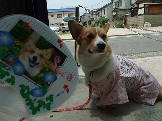2009_0627頂き物0020