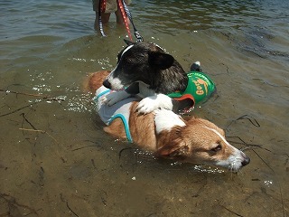 2009_08030091