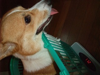 2009_08300015
