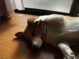 2009_10160007