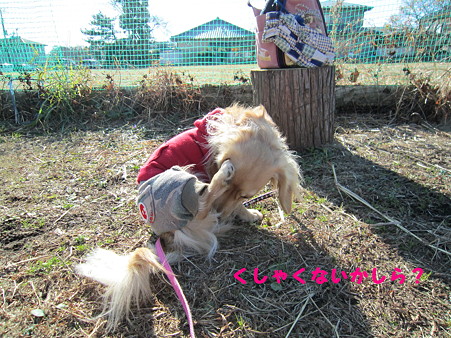 身だしなみ?