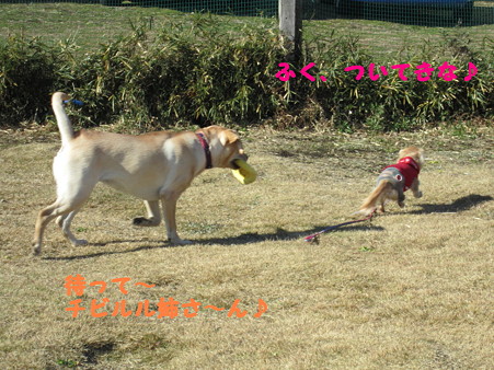 追いかけっこ(2)