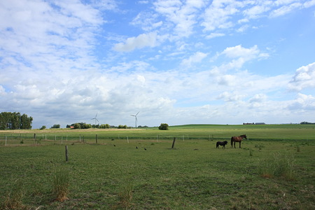 DPP_1533
