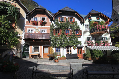 DPP_2378
