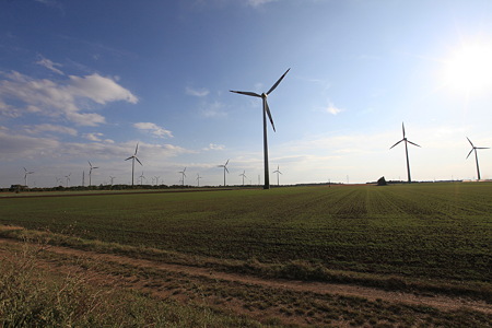 DPP_2475
