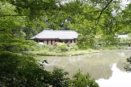 浄瑠璃寺 - 05