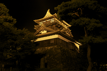丸岡城ライトアップ -02