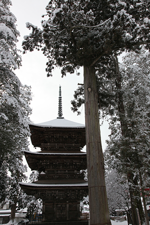 若一王子神社 - 05