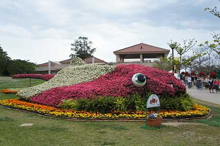 DSC00903