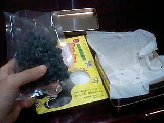 090715 「ゴリラの鼻くそ」を数えてみた その3